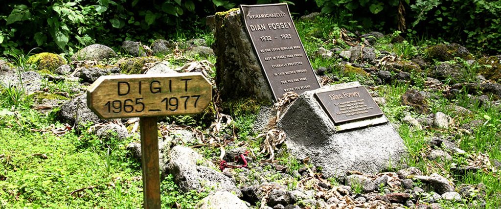 Dian Fossey Grave Trek