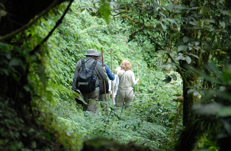 Hike to Dian Fossey Grave
