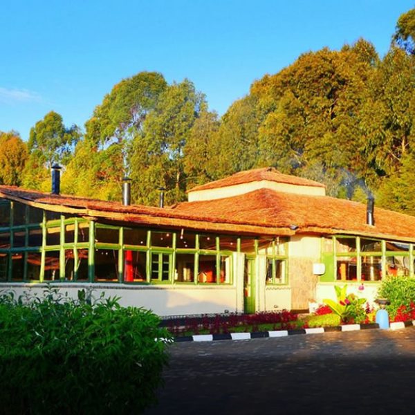 Top 5 Closest Lodges to Volcanoes National Park - Volcanoes National